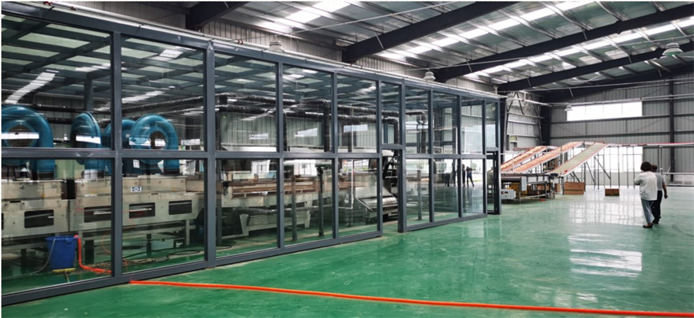 Modernized Layer Farming