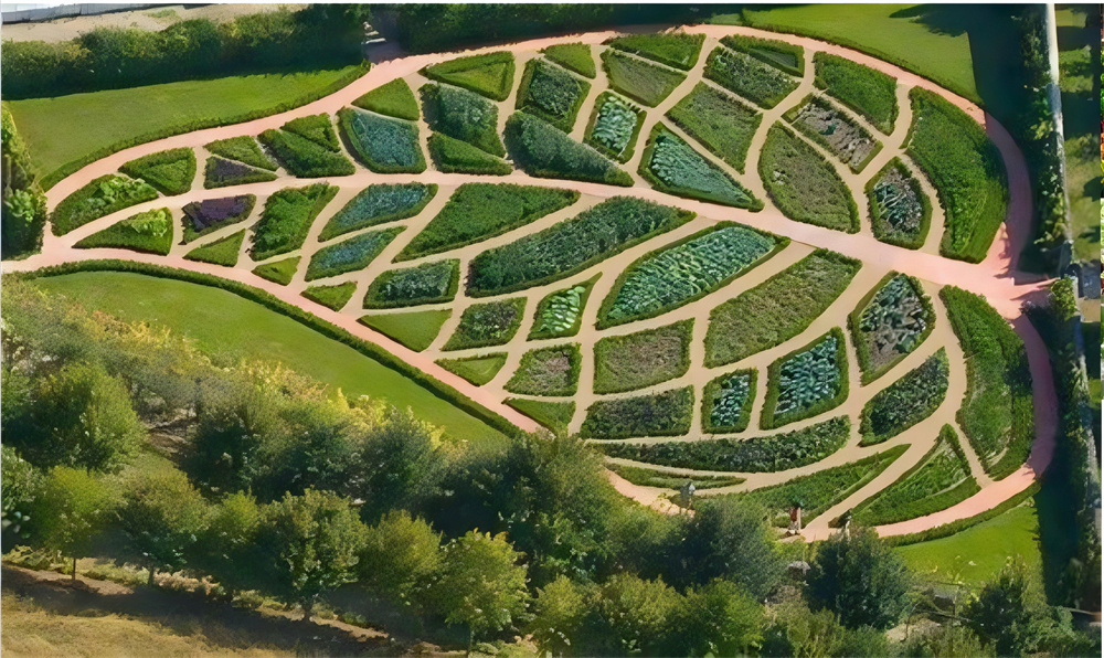 The colorful mojo Garden
